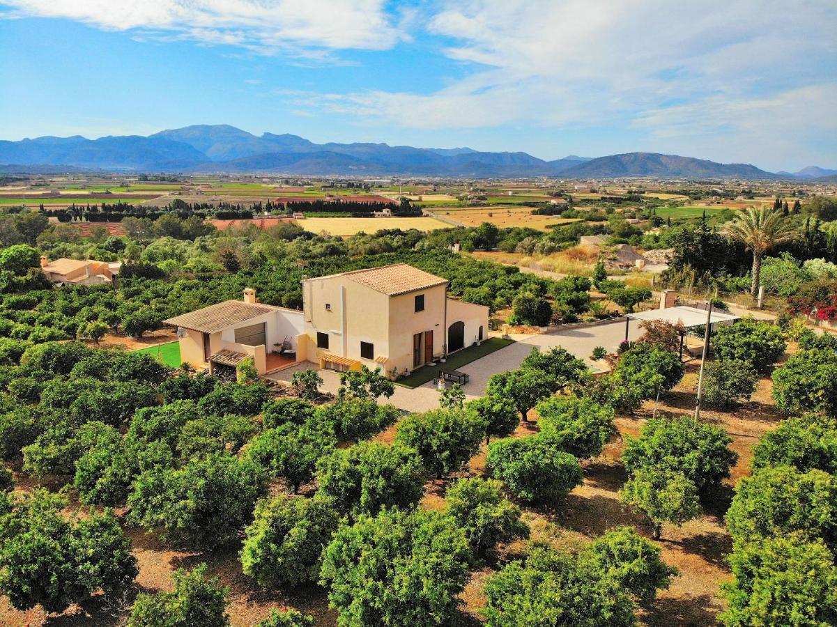 081 Finca Els Tarongers Etv5766 By Mallorca Charme Muro Zewnętrze zdjęcie